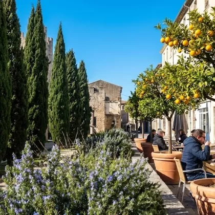 Umaniti - Janvier Narbonne