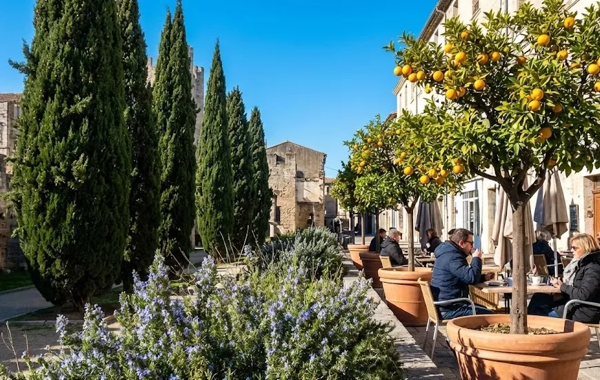 Umaniti - Janvier Narbonne